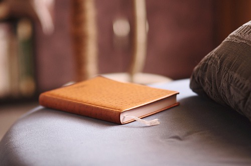 喜欢收藏本子美图的小编编 唯美图片_WWW.TQQA.COM