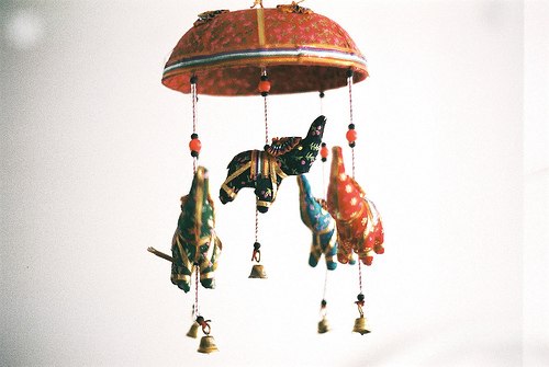 唯美的小清新静物图片_WWW.TQQA.COM