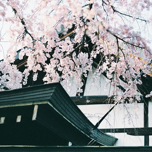 日本小镇街头的旅拍优美风光图片_WWW.TQQA.COM