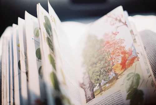 从今后，你是锦瑟，我为流年_WWW.TQQA.COM