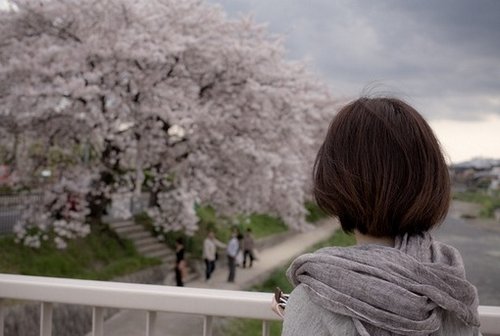 当我们远离了言语与是非_WWW.TQQA.COM