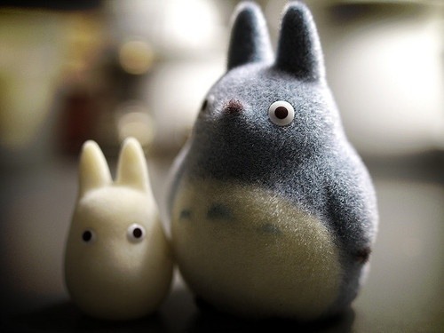 时光还在，你还在 暖色调治愈系图片_WWW.TQQA.COM