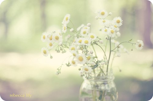 活着，就是幸福_WWW.TQQA.COM