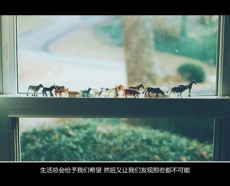 没有前因，无关风月，只是爱了_WWW.TQQA.COM