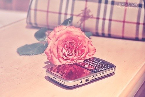 投入而充分，活出这一刻的天真_WWW.TQQA.COM