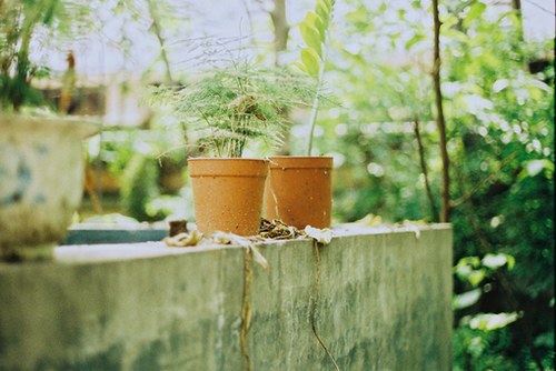 关于你的记忆,洗尽铅华_WWW.TQQA.COM