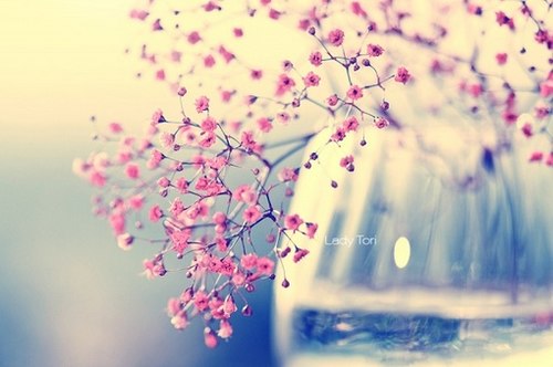 隔岸看花，风淡云轻_WWW.TQQA.COM