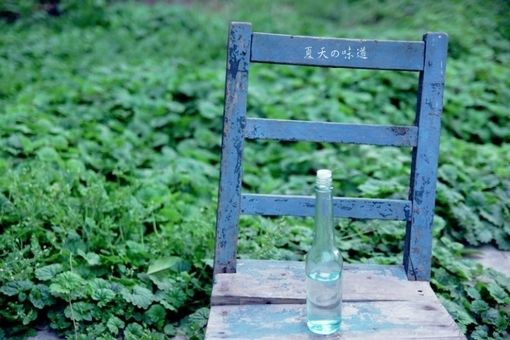 流年未尽，夏日未亡_WWW.TQQA.COM