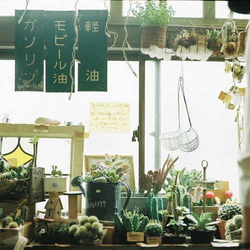 它在终点等待你，只为见证你的自足_WWW.TQQA.COM