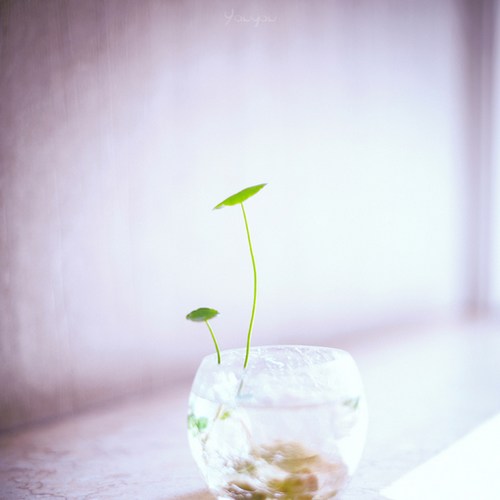 它会连成一条幸福的直线 -日系_WWW.TQQA.COM