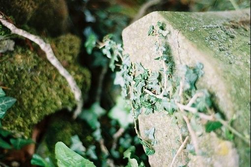 一组简单且安静的LOMO图片_WWW.TQQA.COM