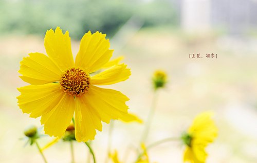 人生没有意外_WWW.TQQA.COM