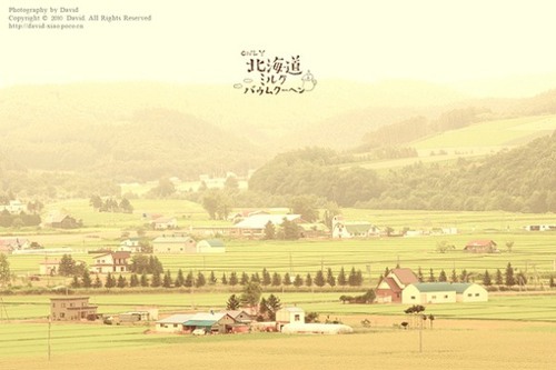 不一样的北海道，不一样的幸福面貌  日系唯美图_WWW.TQQA.COM