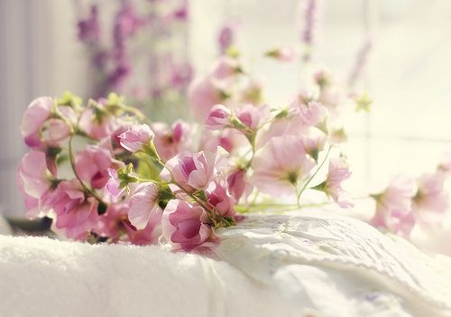 一路上或鲜花盛开，或落英缤纷_WWW.TQQA.COM