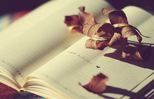 有谁陪着你看尽每一个日出日落_WWW.TQQA.COM