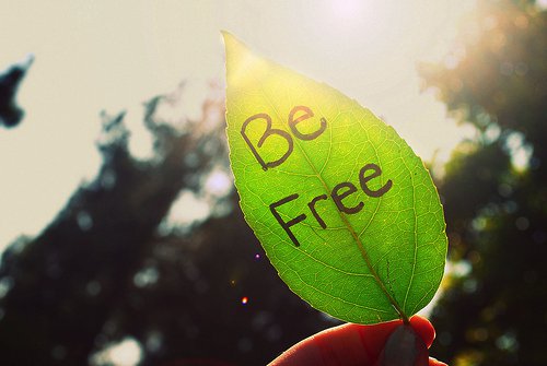 人来人往，慢慢也就习惯了_WWW.TQQA.COM