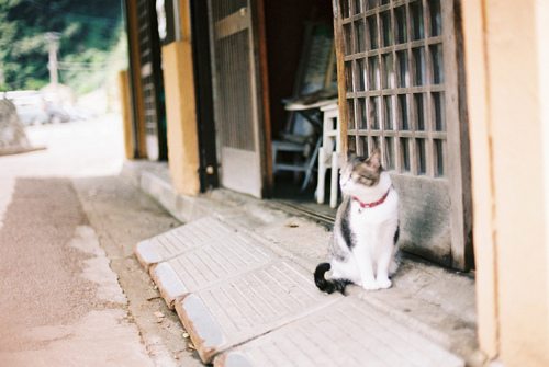 偶遇正午时分的太阳_WWW.TQQA.COM