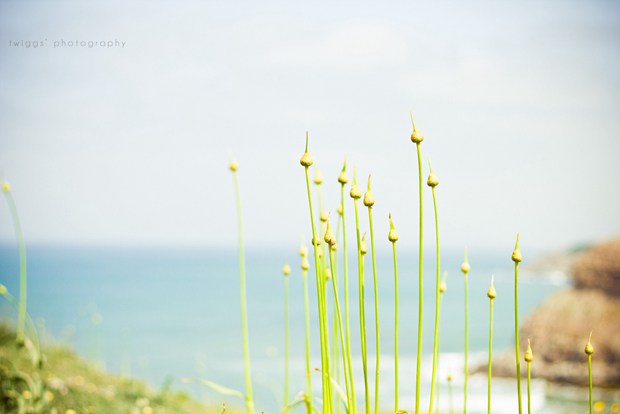 花开的季节最为迷人_治愈系小清新花朵图片_WWW.TQQA.COM