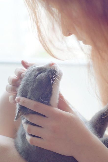 清新甜美的女生怀抱着猫咪的唯美图片整理_WWW.TQQA.COM