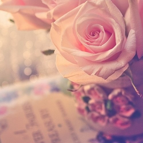 未看此花时，此花与汝心同归于寂_WWW.TQQA.COM