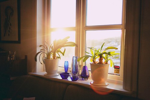 唯美的日系小清新美图，搭配小清新的文字_WWW.TQQA.COM