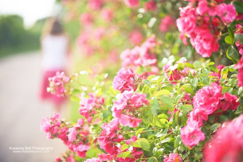 我要的就是春暖花开_唯美图片_WWW.TQQA.COM