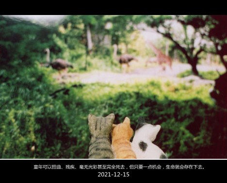 你希望我们还是原来的自己吗_WWW.TQQA.COM