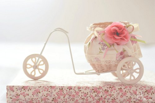 活着就该享受生活_WWW.TQQA.COM