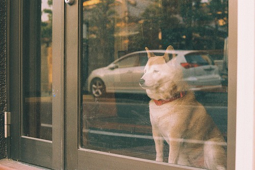 想要最好，就一定会给你最痛的过程 小清新图片_WWW.TQQA.COM