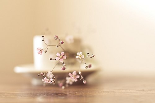 带着幸福回荡在花开漫野的风里_WWW.TQQA.COM
