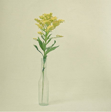 爱有多深,恨就有多浓_WWW.TQQA.COM