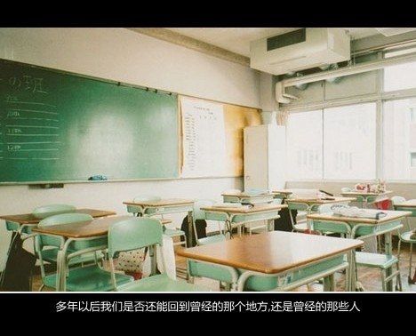 量贩一组安静系小清新图片_WWW.TQQA.COM