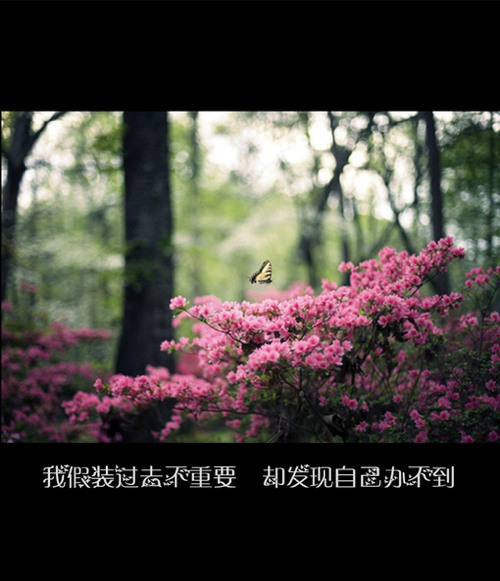 微笑向前看，不记来时路  唯美图片带字_WWW.TQQA.COM