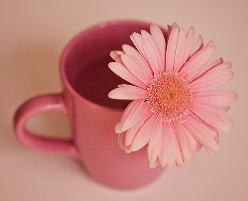 没有勇气说真话的我们  粉色调小清新图片_WWW.TQQA.COM