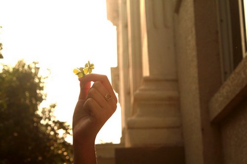 很希望自己是一叶四叶草_WWW.TQQA.COM