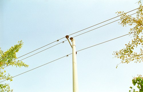 关于你的记忆,洗尽铅华_WWW.TQQA.COM