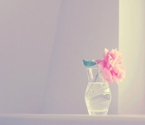 一路上或鲜花盛开，或落英缤纷_WWW.TQQA.COM