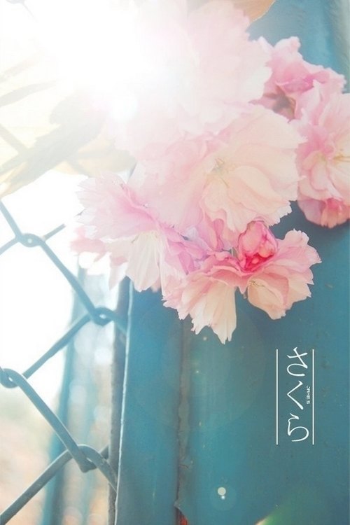 未看此花时，此花与汝心同归于寂_WWW.TQQA.COM