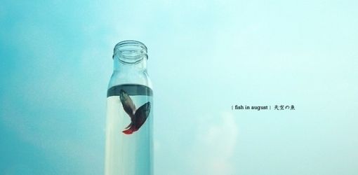 流年未尽，夏日未亡_WWW.TQQA.COM