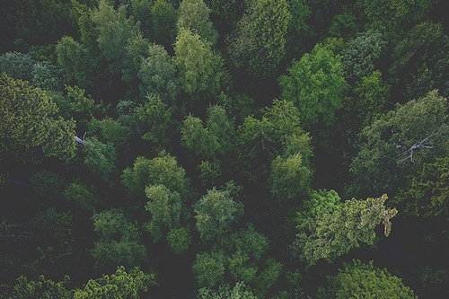 一起回到大自然中去吧_WWW.TQQA.COM