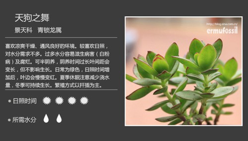 多图详解多肉植物，你懂不呀？_WWW.TQQA.COM