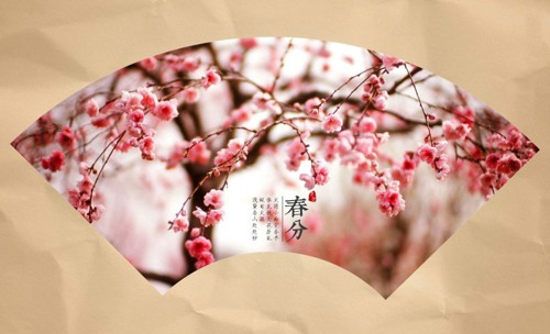 关于春分的一组唯美中国风美图欣赏_WWW.TQQA.COM