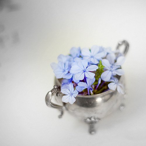 活着，就是幸福_WWW.TQQA.COM