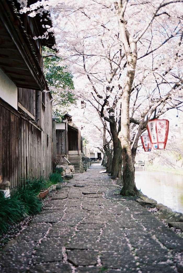 旅行在日本的小清新风景图片_WWW.TQQA.COM