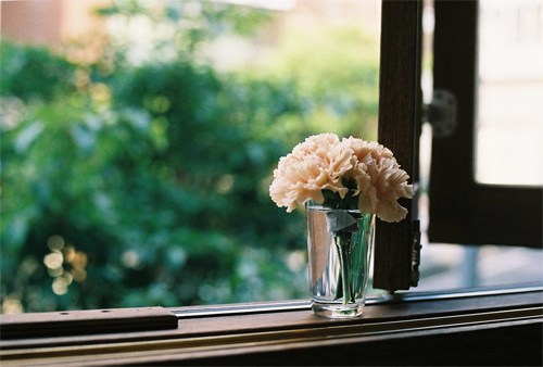 执笔在这一世光年，与你书三世繁花_WWW.TQQA.COM