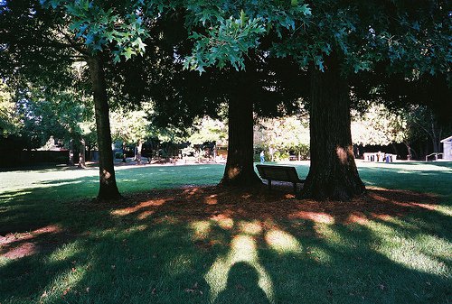 没关系，笑笑就过去吧_WWW.TQQA.COM