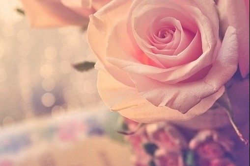 在自己心中盖了座花园_WWW.TQQA.COM