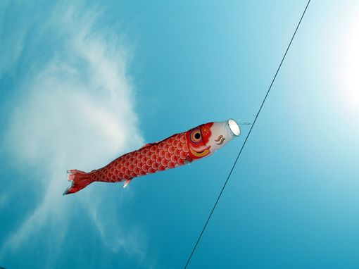 鲤帜_WWW.TQQA.COM