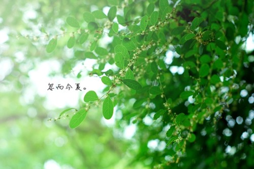 快乐是自己创造出来的 治愈系lomo图片_WWW.TQQA.COM