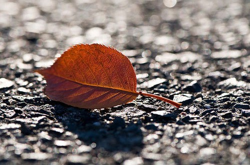 快乐是自己创造出来的 治愈系lomo图片_WWW.TQQA.COM